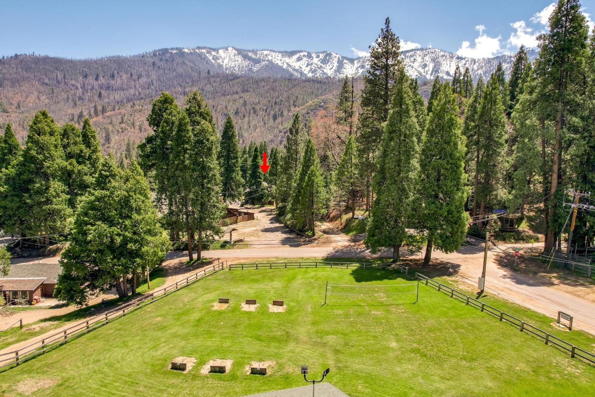 Camp Nelson Lodge Room 2 Ponderosa Εξωτερικό φωτογραφία